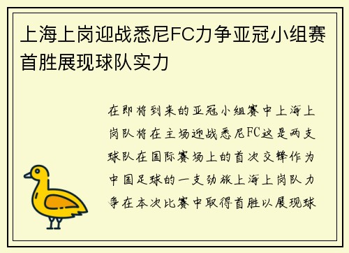 上海上岗迎战悉尼FC力争亚冠小组赛首胜展现球队实力